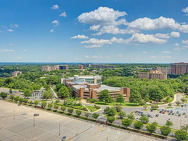 1st image of 3709 S George Mason Dr APT 810E