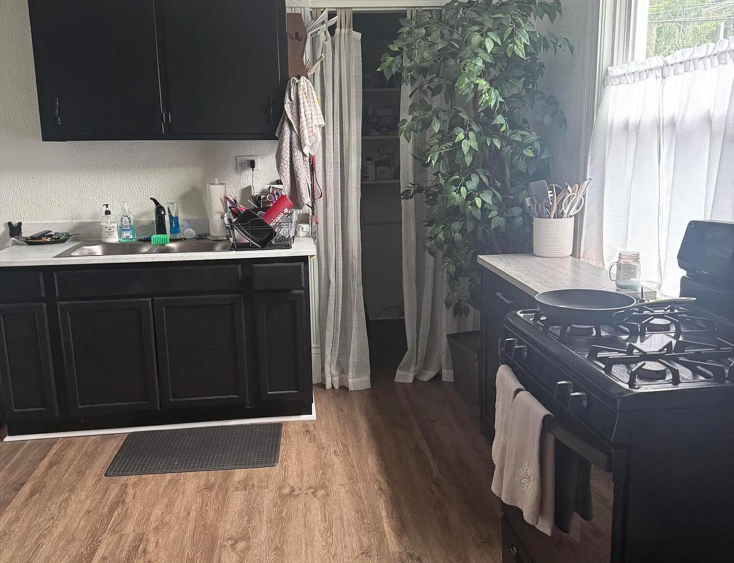 2 bed, 1.0 bath, 765 sqft, $1,250 — Photo 2