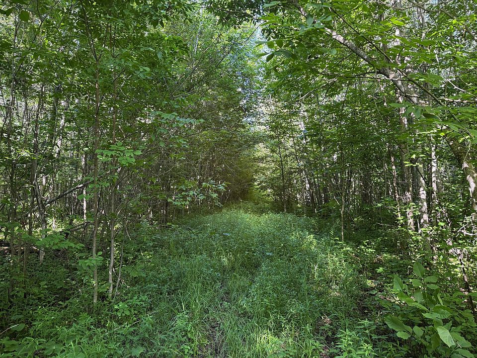 1st image of 40A Bridgie Rd
