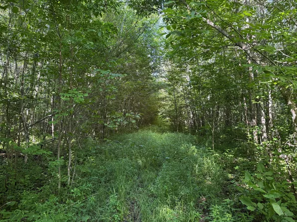 40A Bridgie Rd, Northome, MN 56661