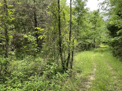 0 Ridge Rd, Cedar Hill, TN, 37032