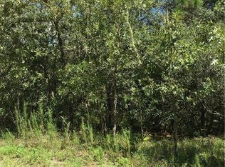 8320 Little Stone Dr, Webster, FL 33597