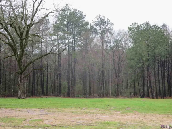 State Highway 409, Slaughter, LA 70777