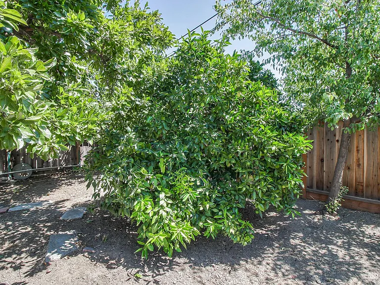 516 Clifton Ave — Photo 20