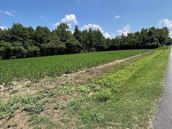 5th image of 2197 W Nc Highway 222 W