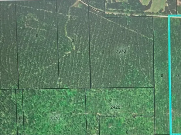 0 County Road 4416, Spurger, TX 77660