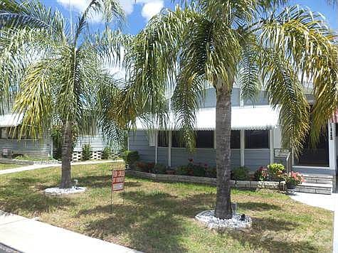 BEAUTIFUL PALM TREES