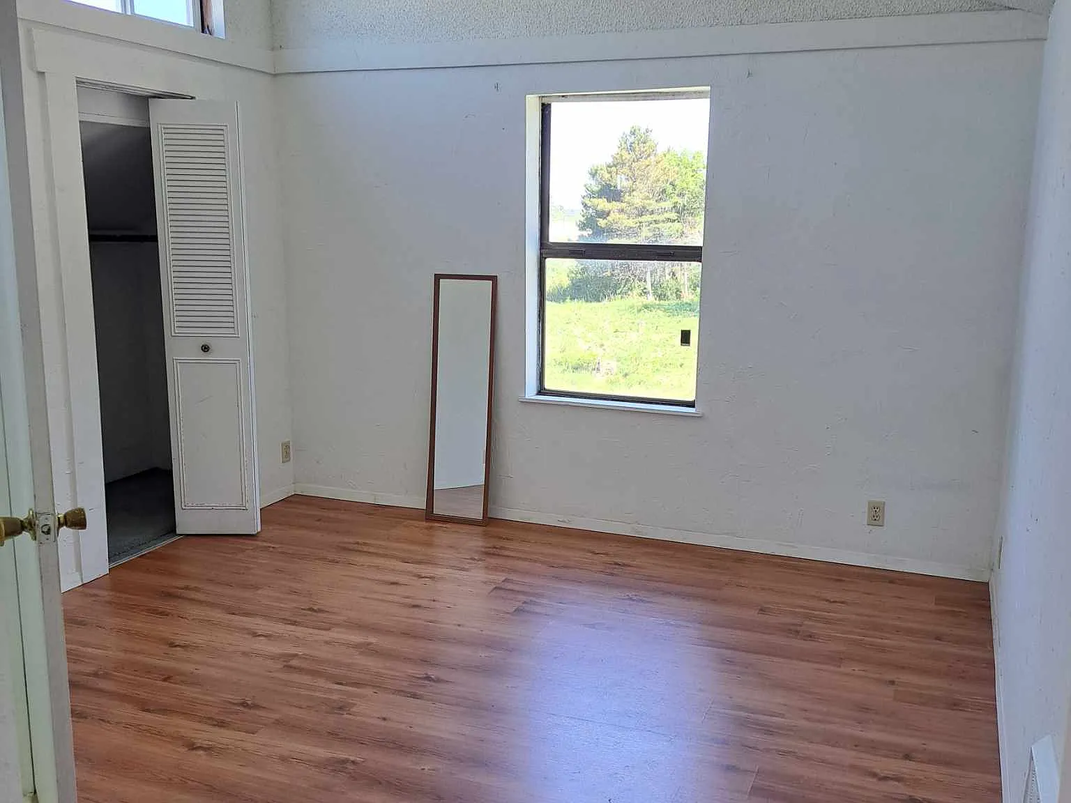 1 bed, $1,200 — Photo 4