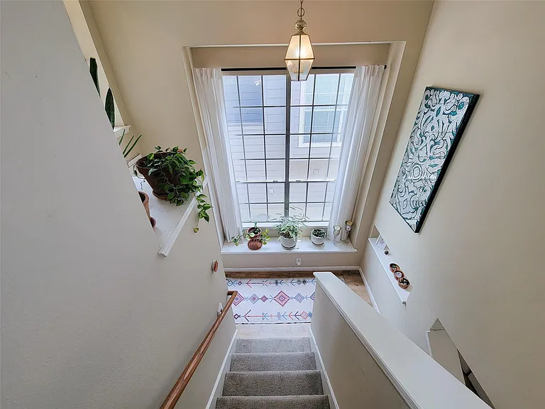 42 Wineberry Pl — Photo 22