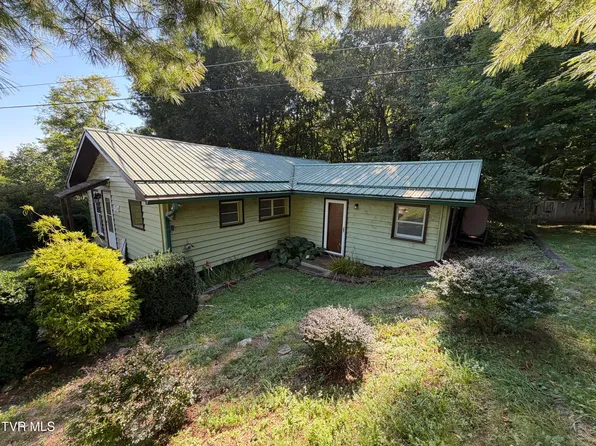 517 Burbank Rd, Roan Mountain, TN 37687