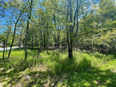 Ev804 Stoney Mountain Road & Milton Way, Albrightsville, PA, 18210
