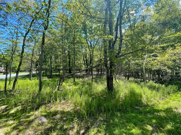 Ev804 Stoney Mountain Road & Milton Way, Albrightsville, PA 18210