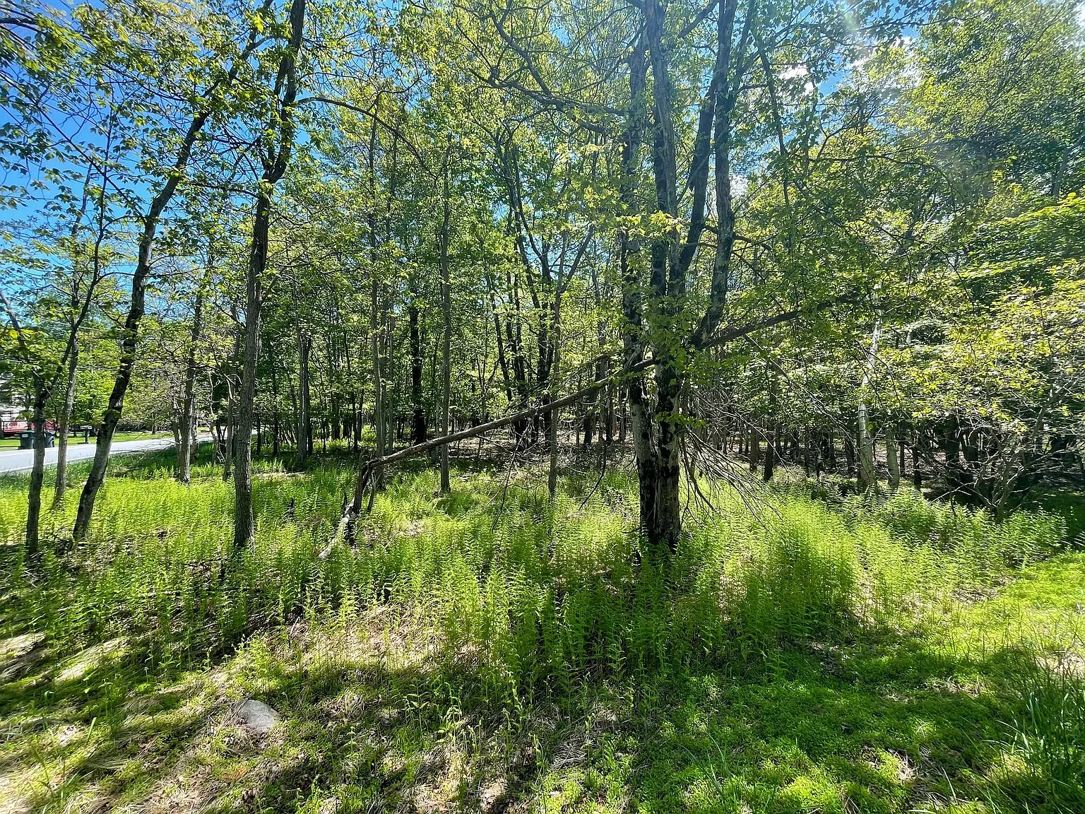 Ev804 Stoney Mountain Road & Milton Way photo 1