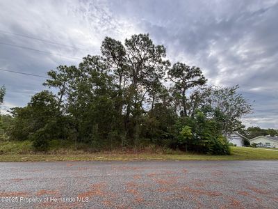 LOT 8 Nuzum Rd, Brooksville, FL, 34613