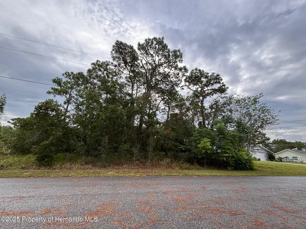 LOT 8 Nuzum Rd, Brooksville, FL 34613