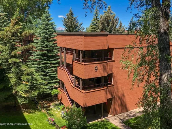 927 Vine St #927, Aspen, CO 81611