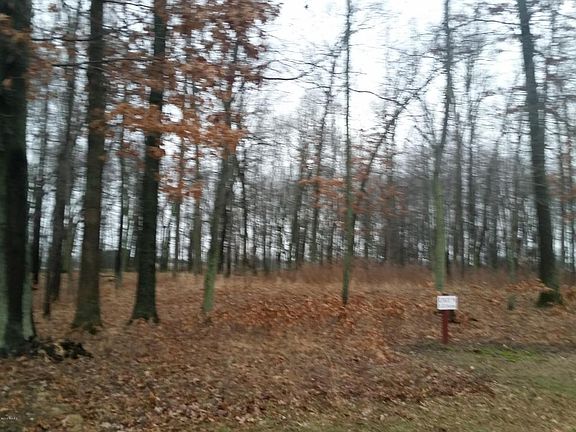 3rd image of 6815 Amelia Dr