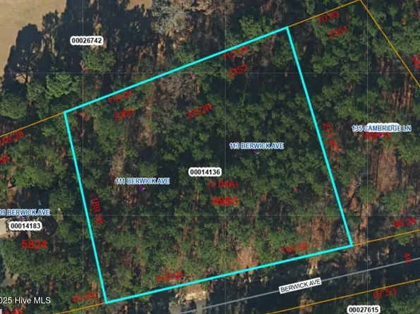 113 Berwick Avenue, West End, NC 27376