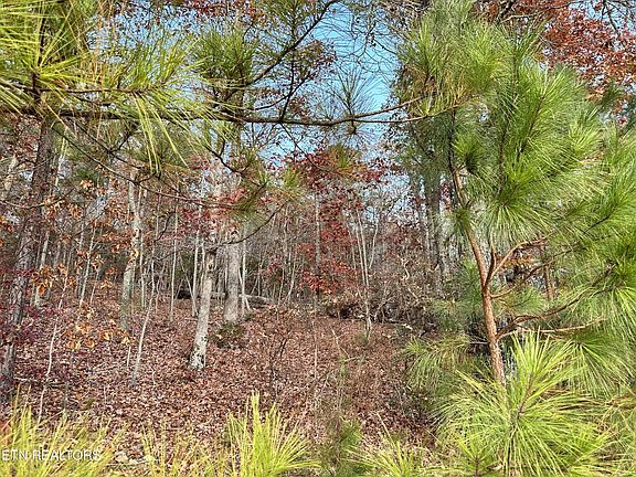 4th image of 726 Twin Lakes Dr #236