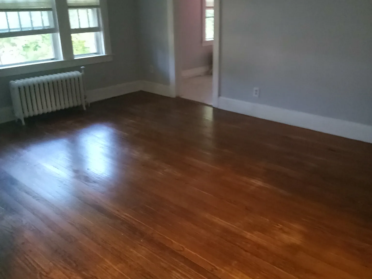 1 bed, 750 sqft, $1,500 — Photo 2