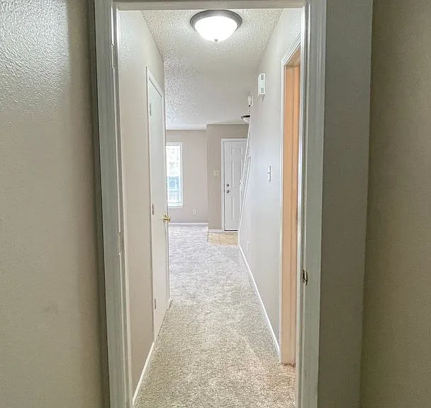 2738 Priest Dr — Photo 9