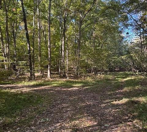 4th image of 1210 Lee Pl Lot 1210