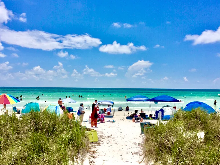 Sabal Dr — Photo 15