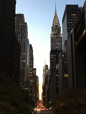 Sold by Bond New York | media 23