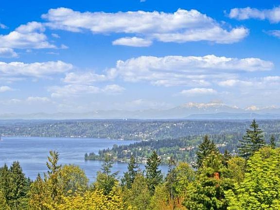 Panoramic Views