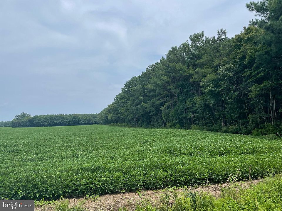 Hickory Hill Rd, Millsboro, DE 19966 Zillow