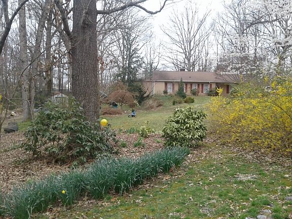3rd image of 11108 Parkview Dr