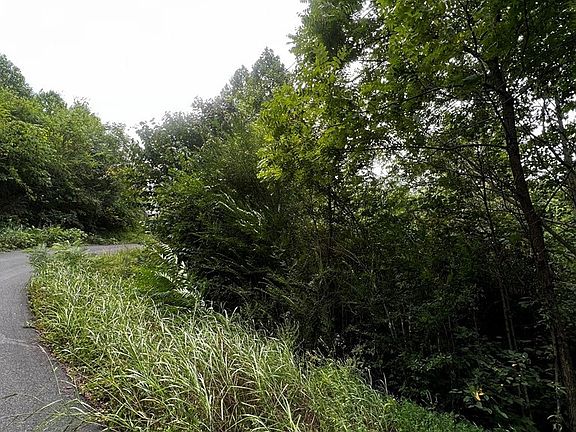 2nd image of 0 Point View Dr Lot 25