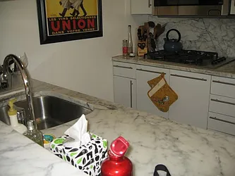 Rented by NY NY Condo, Inc