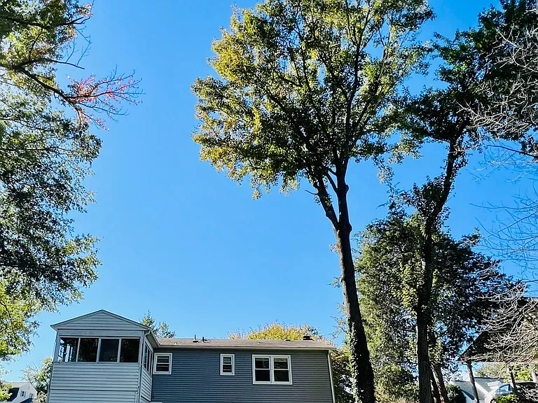 11721 Kennedy Ln — Photo 25