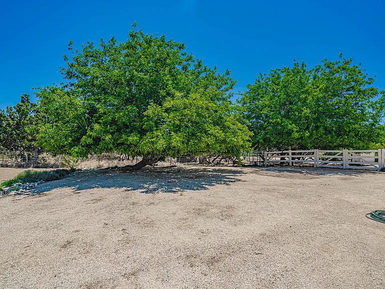 6367 Valley Sage Rd #REAR — Photo 45