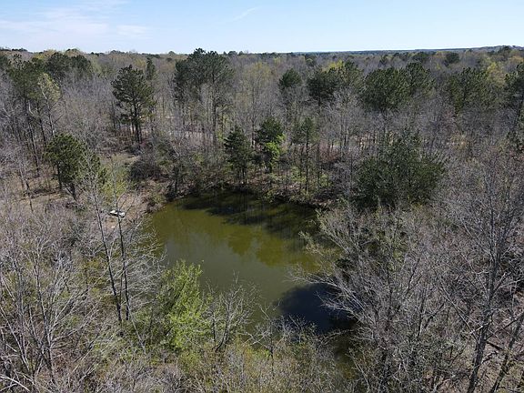 3rd image of 0 Lee Bass Rd