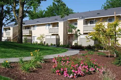 Live Oak Apartments — Photo 28