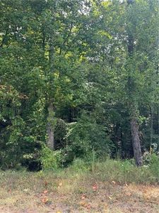 0 Cole Lake Rd, Dallas, GA, 30157