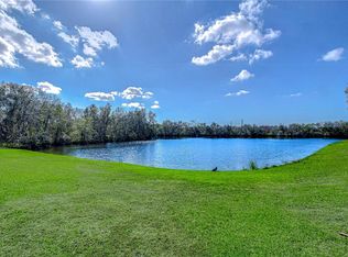 13908 Orange Dale Pl, Tampa, FL 33625