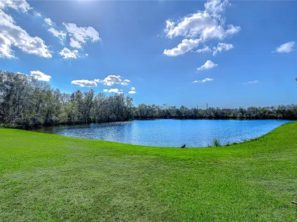 13908 Orange Dale Pl, Tampa, FL 33625