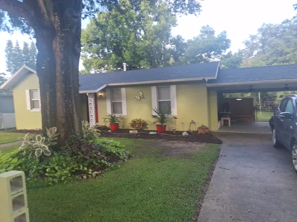314 S Rhodes St, Mount Dora, FL 32757