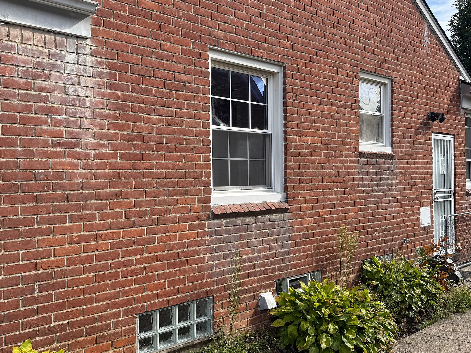 8146 Grayfield St — Photo 2