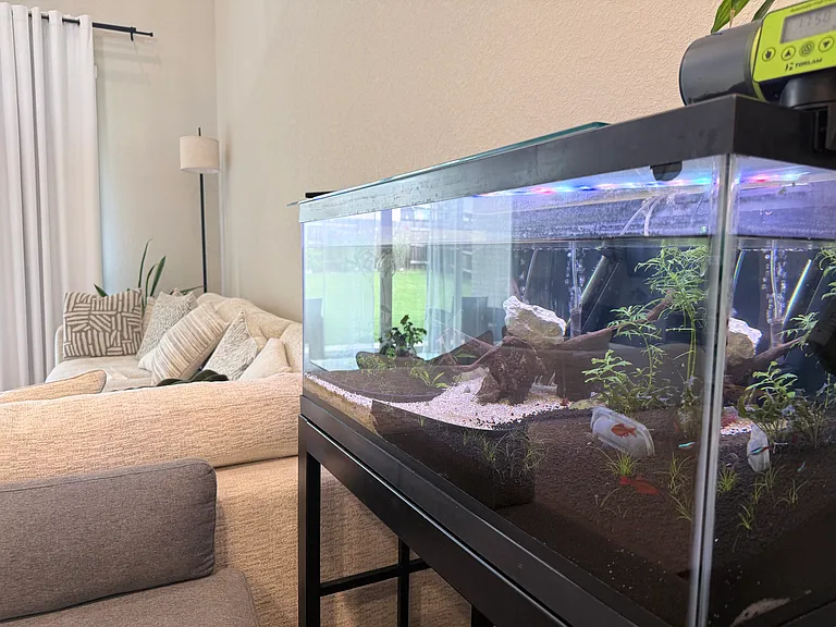 Self-sustaining and sealed aquarium with live plants and auto-feeder (no cleaning needed, no filter noises)