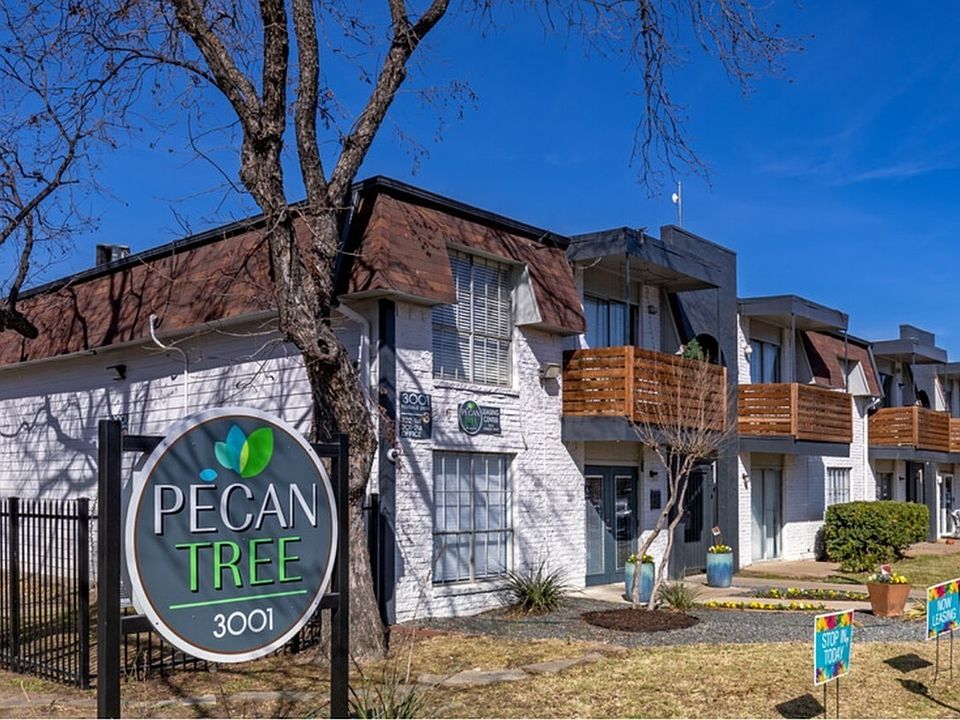 Pecan Tree 1