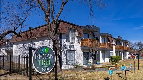 Pecan Tree Photo 1