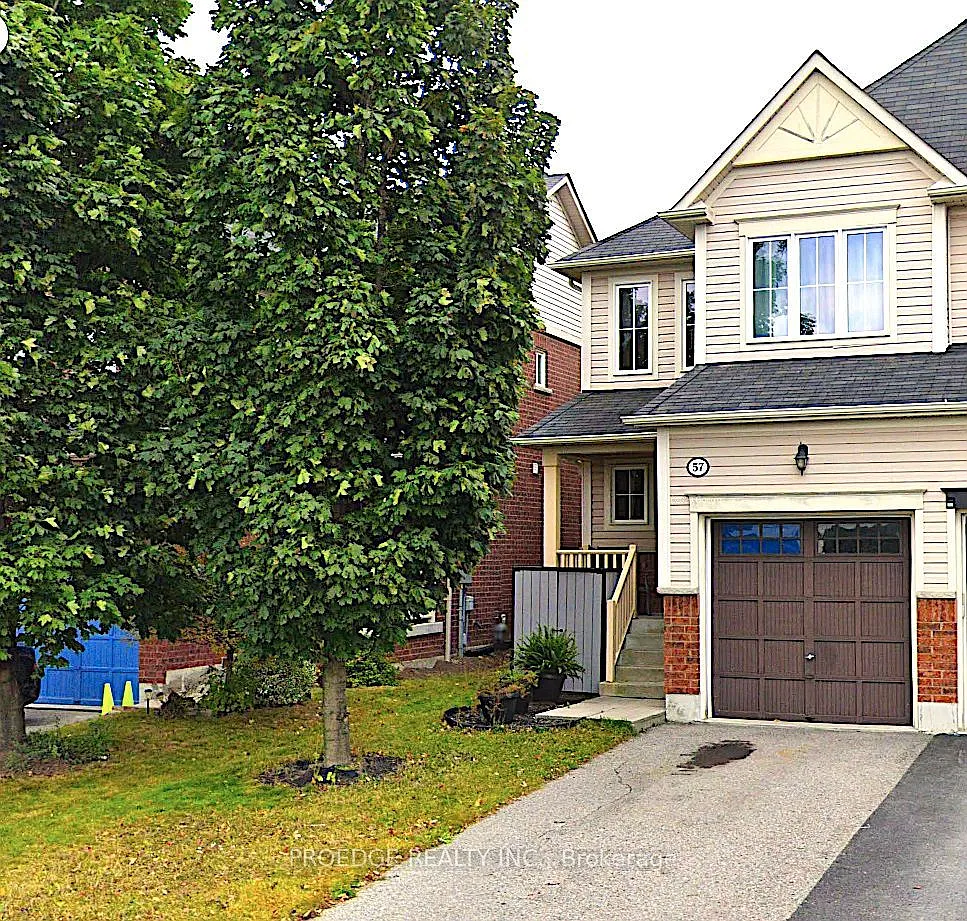 3 bed, $3,100 — Photo 1
