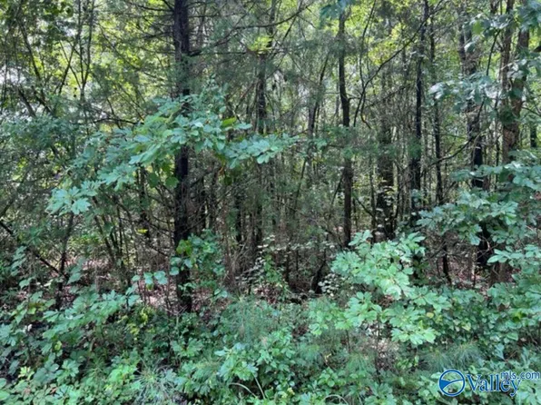 Lyle Cir, Somerville, AL 35670