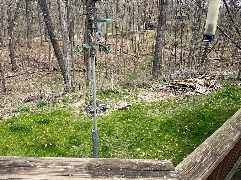 Spicer Rd — Photo 7