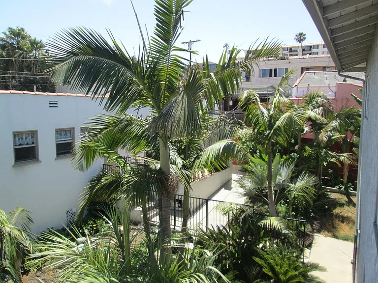 View from Living Room