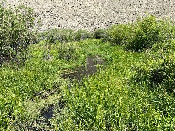 2nd image of Camp Creek Rd